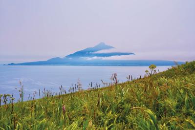 【夏の島旅】高山植物と海産物の宝庫・北海道【礼文島】を島旅のプロが深掘り！（サムネイル画像4）