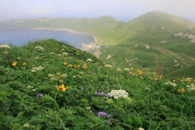 【夏の島旅】高山植物と海産物の宝庫・北海道【礼文島】を島旅のプロが深掘り！（サムネイル画像）