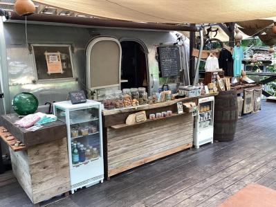 【夏の島旅】戦後80年の今こそ訪れたい【小笠原諸島】青い海が広がる3島のおすすめスポットは？（サムネイル画像6）