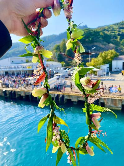 【夏の島旅】戦後80年の今こそ訪れたい【小笠原諸島】青い海が広がる3島のおすすめスポットは？（サムネイル画像9）