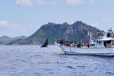 【夏の島旅】戦後80年の今こそ訪れたい【小笠原諸島】青い海が広がる3島のおすすめスポットは？（サムネイル画像5）