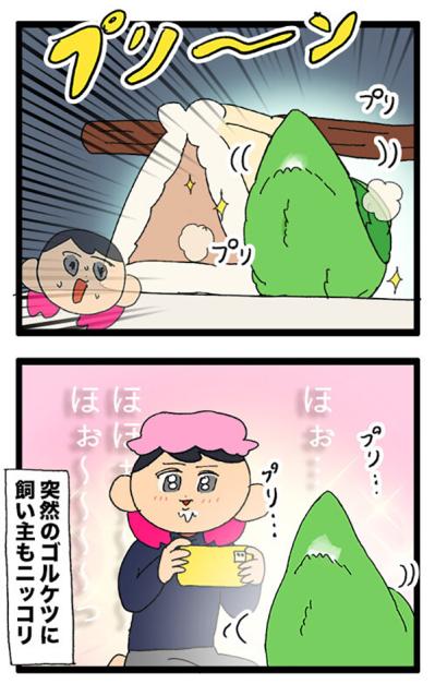 飼い主がインコの夜更かしを怒れなかった理由とは？【鳥マンガ＃80】（サムネイル画像5）