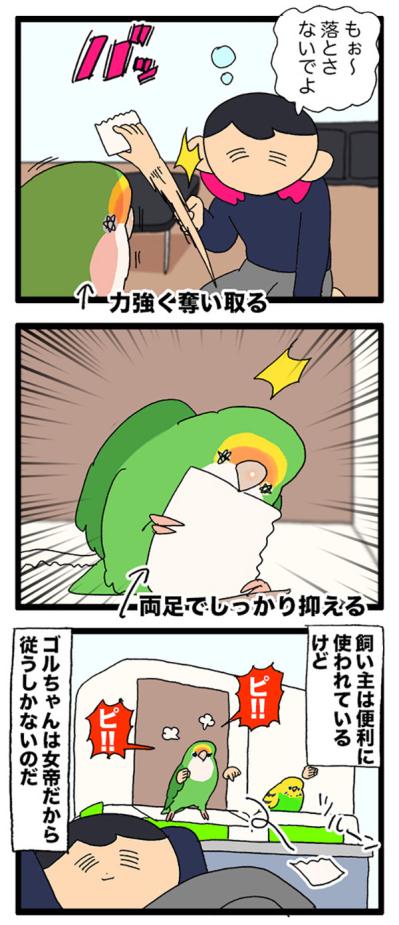 インコに使われる飼い主／「撫でて」ではなかったインコの気持ち【鳥マンガ＃81】（サムネイル画像5）