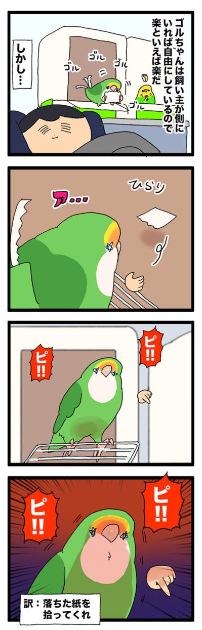 インコに使われる飼い主／「撫でて」ではなかったインコの気持ち【鳥マンガ＃81】（サムネイル画像4）