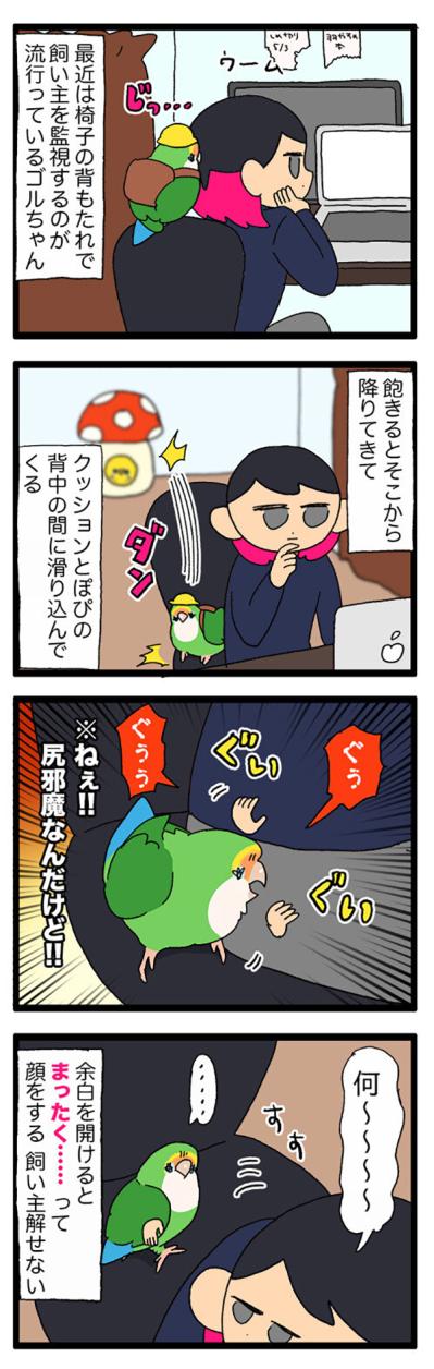 飼い主がインコの夜更かしを怒れなかった理由とは？【鳥マンガ＃80】（サムネイル画像3）