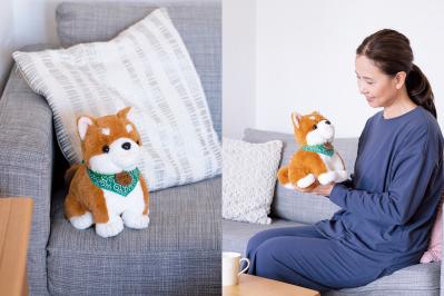 「高齢の母にプレゼントしました」認知症予防にも。ウワサの「こんにちワン！しばいぬコウタ」とは？