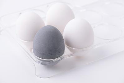 イや～なにおいを可愛くシャットアウト！食品といっしょにおける「ドライングエッグ」とは？（サムネイル画像2）
