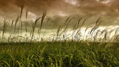 【ホジュン】理不尽なピンチが降りかかる大長編…ついに最終話へ！60〜68話［韓国ドラマ】医女イェジン再登場の真意は？（サムネイル画像4）