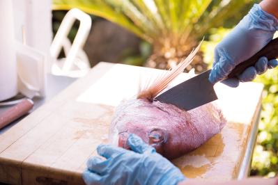 【79歳・中尾ミエさん】ご近所づきあいで得た「魚の捌き方」お刺身がおいしいのは、釣りたてよりも2～3日後！？（サムネイル画像4）