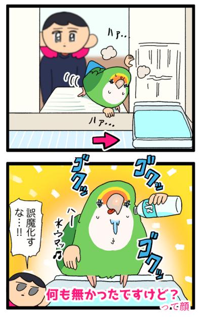 運動不足疑惑のコザクラインコ／落ち込むインコ…回復までどれぐらい？【鳥マンガ＃84】（サムネイル画像5）