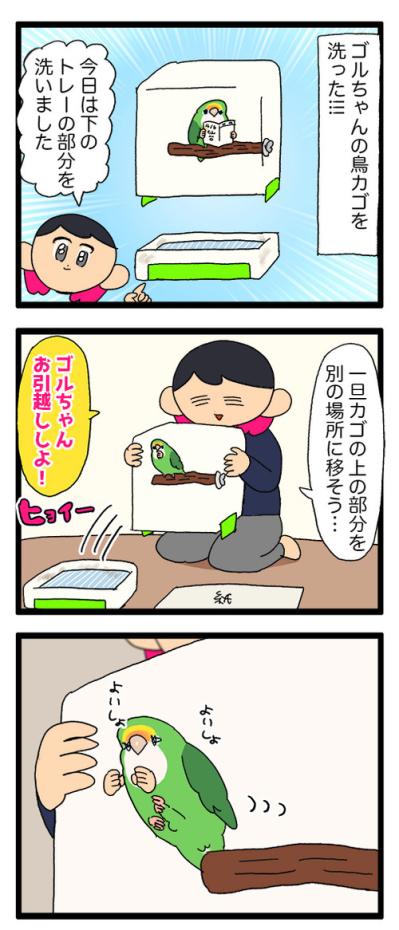 鳥かごを洗うのも命がけ／インコにとっての飼い主の指とは？【鳥マンガ＃82】（サムネイル画像4）