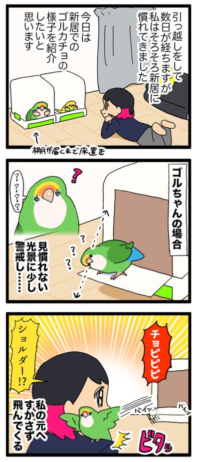 インコが恐怖を訴えるときの対応／引っ越し…インコは新居に慣れた？【鳥マンガ＃85】（サムネイル画像6）