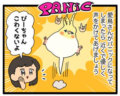 インコが恐怖を訴えるときの対応／引っ越し…インコは新居に慣れた？【鳥マンガ＃85】（サムネイル画像5）