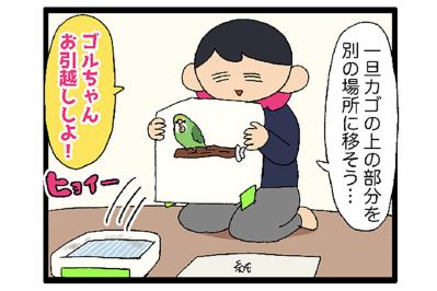 鳥かごを洗うのも命がけ／インコにとっての飼い主の指とは？【鳥マンガ＃82】
