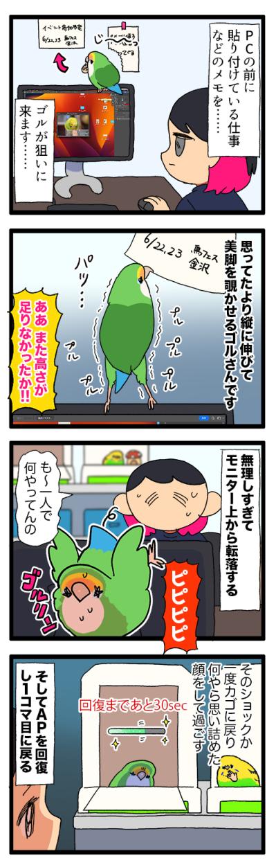 運動不足疑惑のコザクラインコ／落ち込むインコ…回復までどれぐらい？【鳥マンガ＃84】（サムネイル画像6）