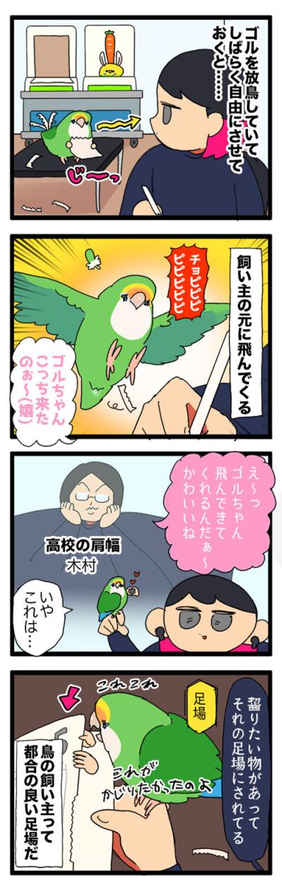 鳥かごを洗うのも命がけ／インコにとっての飼い主の指とは？【鳥マンガ＃82】（サムネイル画像6）