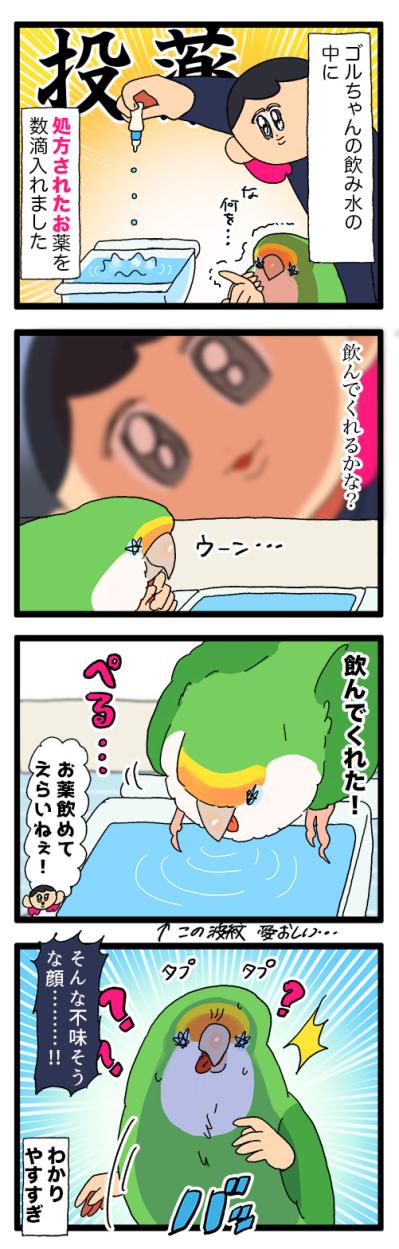 インコにとっても薬は苦い？／放鳥できるまでに回復！【鳥マンガ＃87】（サムネイル画像4）