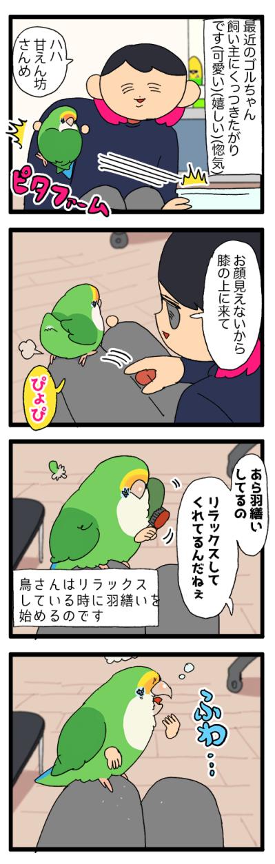 ゴルちゃんとツルツルトラップ／飼い主の上でリラックスするインコがかわいすぎる！【鳥マンガ＃89】（サムネイル画像6）