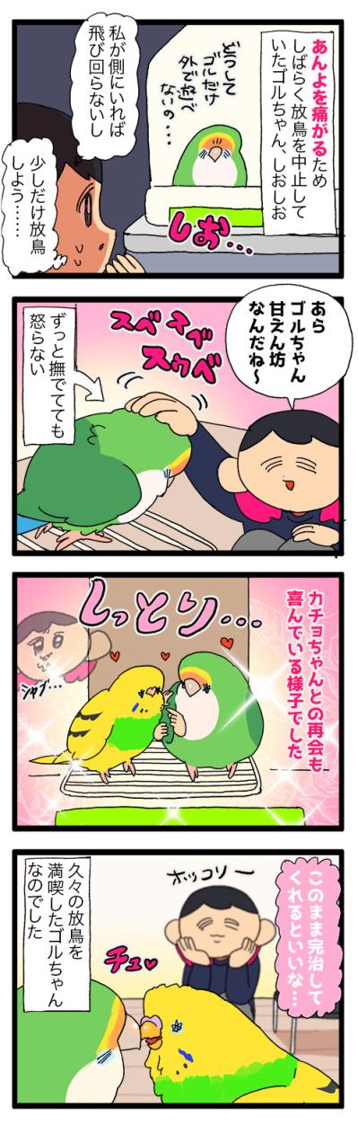 インコにとっても薬は苦い？／放鳥できるまでに回復！【鳥マンガ＃87】（サムネイル画像5）