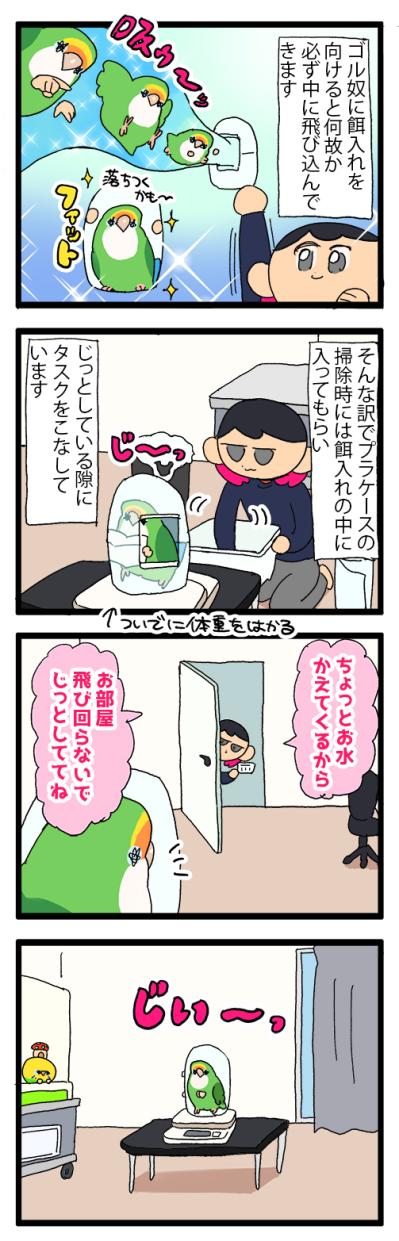 ゴルちゃんのお留守番／飼い主の心臓に悪いインコの寝相がコチラ【鳥マンガ＃88】（サムネイル画像4）