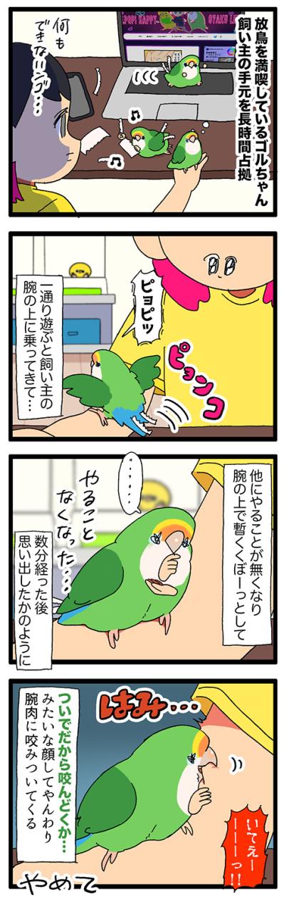 インコにおもちゃだと勘違いされる飼い主／インコ、健康診断へ行く【鳥マンガ＃86】（サムネイル画像4）