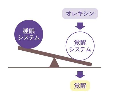  眠れない夜に終止符！睡眠薬に頼らない新常識と【快眠のための9か条】（サムネイル画像3）
