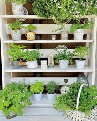 13㎡のベランダが華麗に変身！DIYとフレッシュハーブ、ホワイトコーデで楽しむベランダガーデン（サムネイル画像10）