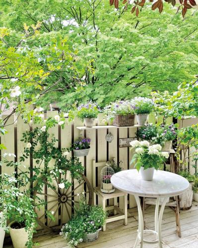 13㎡のベランダが華麗に変身！DIYとフレッシュハーブ、ホワイトコーデで楽しむベランダガーデン（サムネイル画像9）