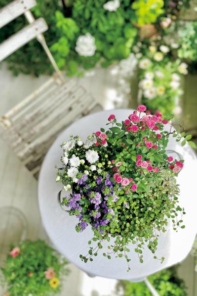 「どこを切り取っても大人かわいい！」DIYで作るフレンチシックなベランダの秘密！（サムネイル画像8）