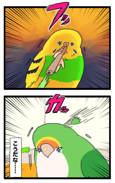 インコが好きそうなおもちゃをリピートしたら…？【鳥マンガ＃92】（サムネイル画像5）
