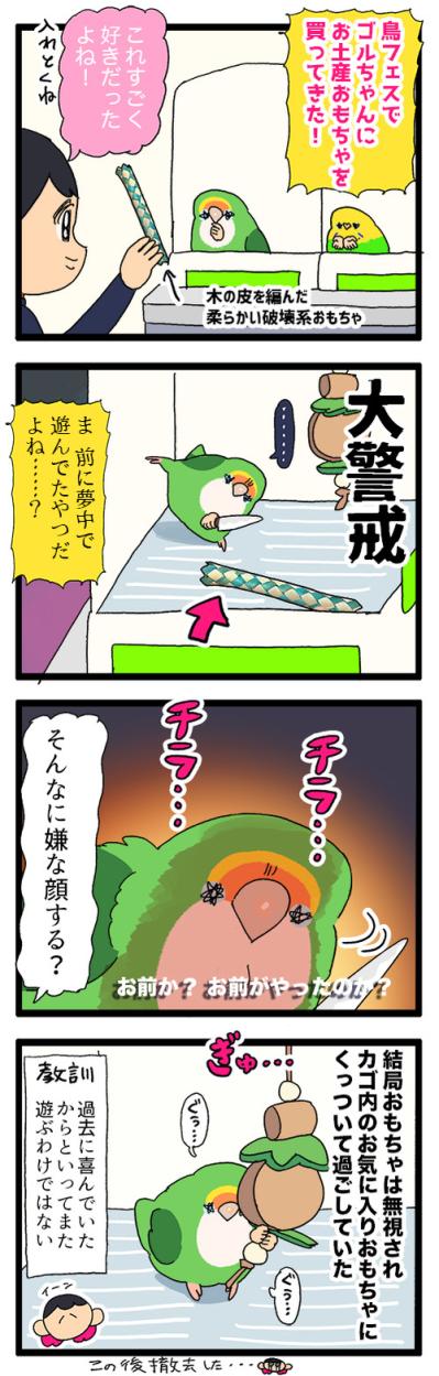 インコが好きそうなおもちゃをリピートしたら…？【鳥マンガ＃92】（サムネイル画像8）