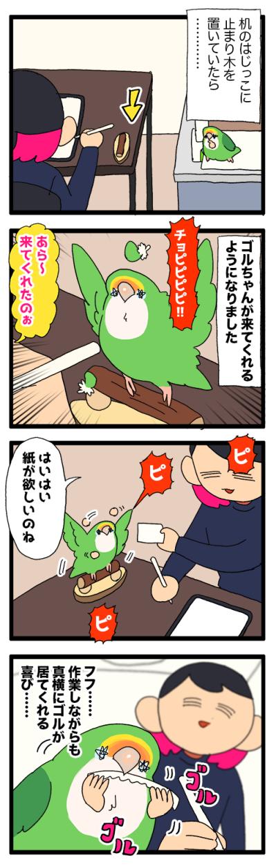ゴルちゃんの水浴び／女帝インコのルーティーンが痛すぎる！【鳥マンガ＃90】（サムネイル画像4）