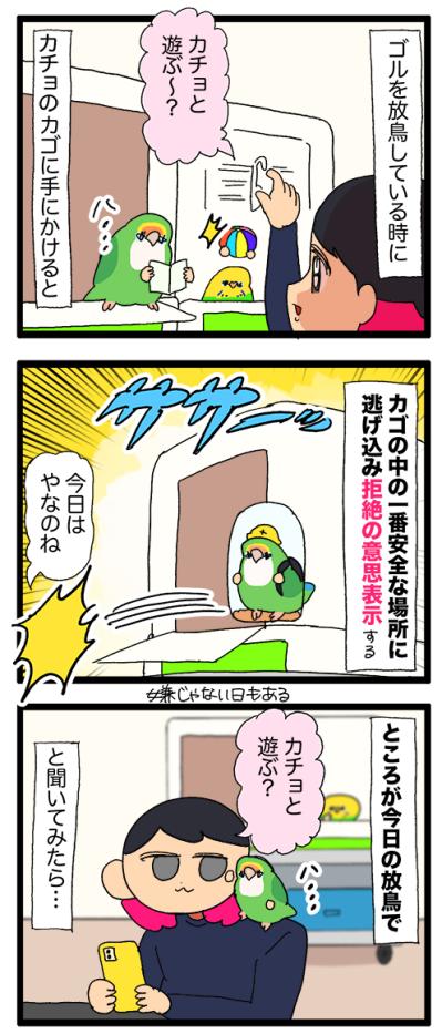 同居インコは断固拒否／女帝インコが好きな旬のフルーツは？【鳥マンガ＃91】（サムネイル画像4）