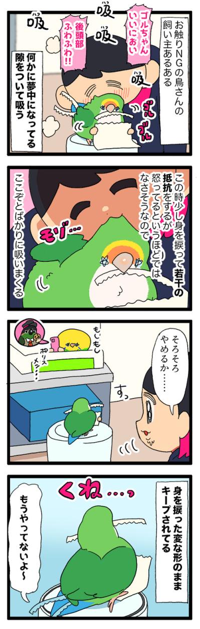 おもちゃ嫌いのインコにブランコで遊んでもらうための仕掛けがすごい！【鳥マンガ＃93】（サムネイル画像5）