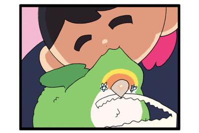 おもちゃ嫌いのインコにブランコで遊んでもらうための仕掛けがすごい！【鳥マンガ＃93】