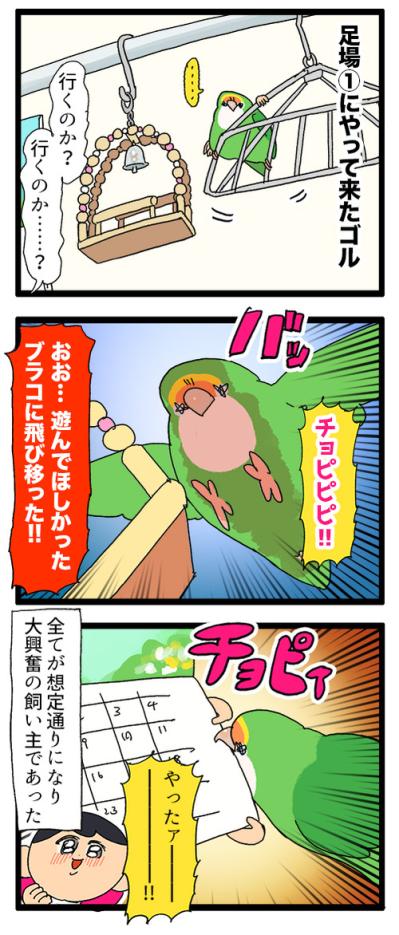 おもちゃ嫌いのインコにブランコで遊んでもらうための仕掛けがすごい！【鳥マンガ＃93】（サムネイル画像4）