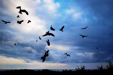 三好達治の『故郷の花』あらすじ紹介。心に沁みる詩情と喪失感の美しい調べ