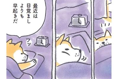 港町を舞台に心温まる人気マンガ『柴犬食堂』が開店！「今日も元気にいただきます」【柴犬食堂#1】