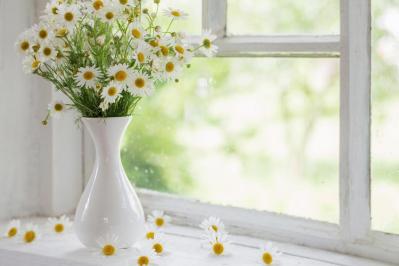 【中道あんさん流】60代ひとり暮らしのサブスクリプション活用＆節約術（サムネイル画像2）