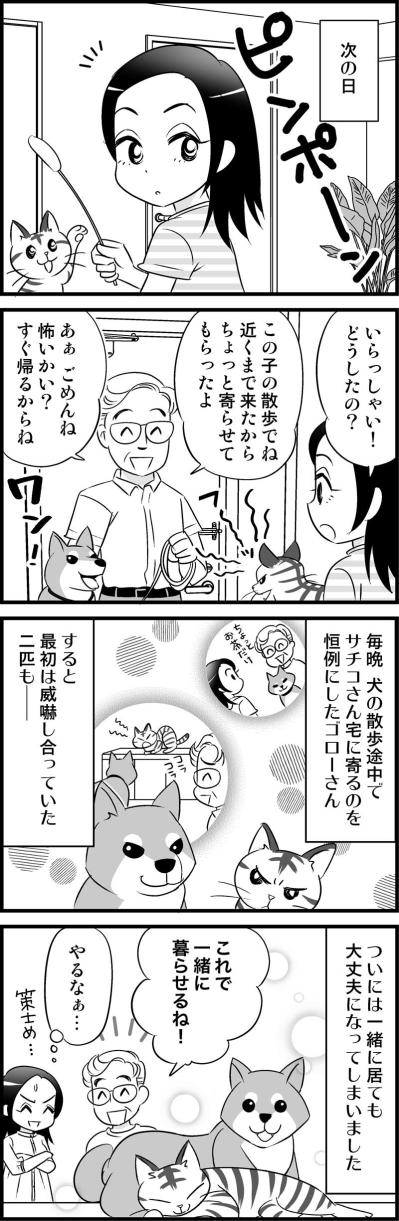 お付き合い1か月で早くもプロポーズ！…なのに「ちょっと待って」なんで！？【オトナ婚#43】（サムネイル画像3）