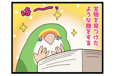 コザクラインコの足が長くて困る！驚きの理由とは？【鳥マンガ＃95】