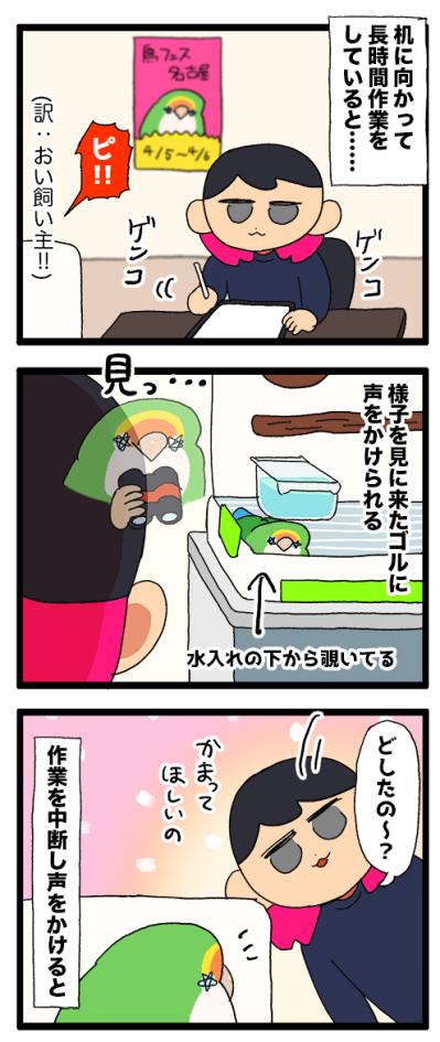 仕事に集中していたときにインコがとった“優しい”行動とは？【鳥マンガ＃97】（サムネイル画像4）