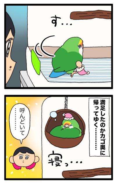 仕事に集中していたときにインコがとった“優しい”行動とは？【鳥マンガ＃97】（サムネイル画像5）