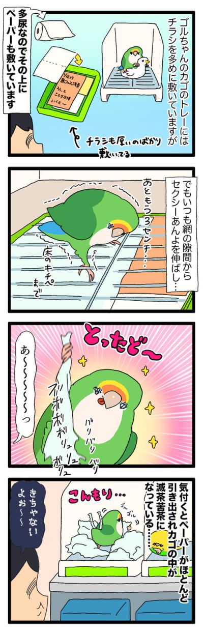コザクラインコの足が長くて困る！驚きの理由とは？【鳥マンガ＃95】（サムネイル画像5）