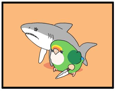 なるほど！コザクラインコ女子は海のギャングに似ている！？【鳥マンガ＃94】（サムネイル画像8）