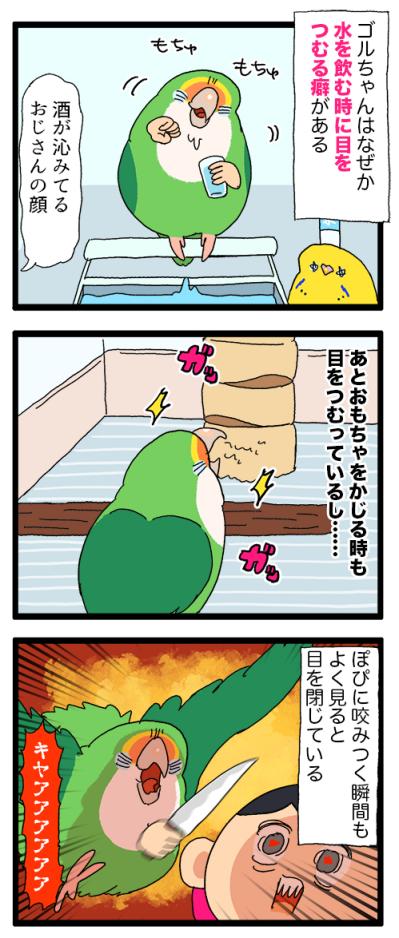 なるほど！コザクラインコ女子は海のギャングに似ている！？【鳥マンガ＃94】（サムネイル画像6）