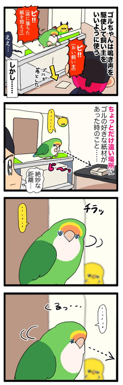 女帝インコの寝相がすごい！／飼い主にはわかってほしい…【鳥マンガ＃96】（サムネイル画像5）