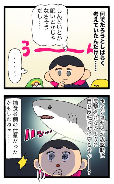 なるほど！コザクラインコ女子は海のギャングに似ている！？【鳥マンガ＃94】（サムネイル画像7）