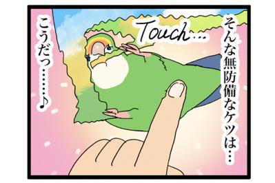 インコのおもちゃブームの秘密！ゴルちゃんが教える意外なトレンド【鳥マンガ＃102】