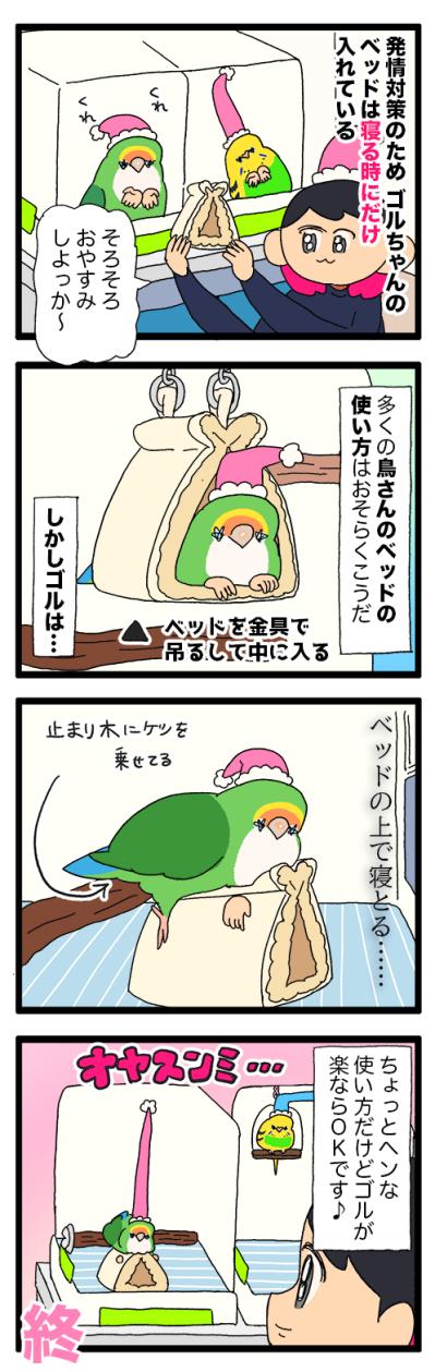 女帝インコの寝相がすごい！／飼い主にはわかってほしい…【鳥マンガ＃96】（サムネイル画像4）